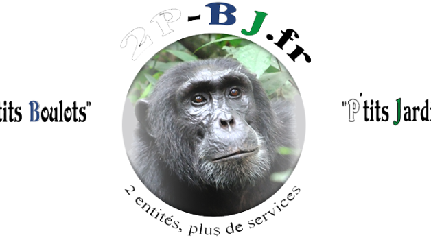 http://www.maisonactuelleettravaux.com/wp-content/uploads/2016/02/logo-628x353.png