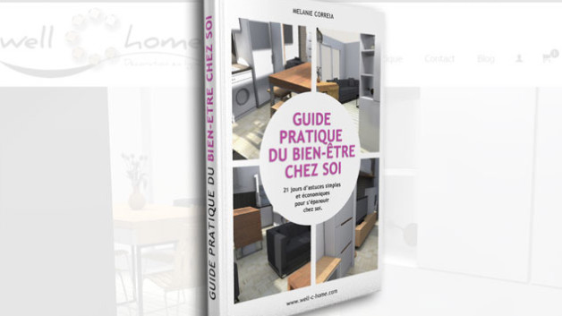 http://www.maisonactuelleettravaux.com/wp-content/uploads/2017/01/presentation2-628x353.jpg