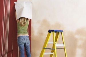 Rear view of a blond young woman hanging wallpaper