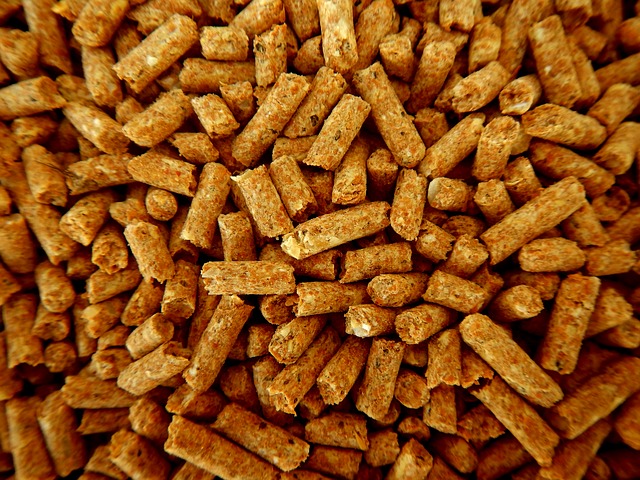 Découvrez dans cet article comment choisir le pellet de bois pour sa maison